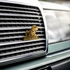 Altblech_Atelier_SWC_Badge_Gold_on_car