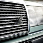 SWC CAR GRILLE BADGE - SILVER